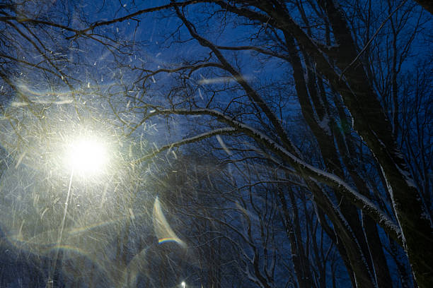 Moody winter night scene with falling snow illuminated by a bright streetlight shining through bare tree branches. Atmospheric outdoor landscape evoking cold, darkness, solitude, and quiet winter weather in an urban park or forest.
