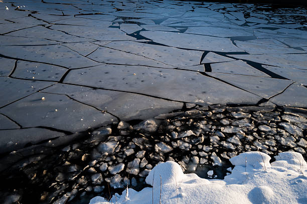 Close-up view of frozen river surface with fractured ice plates and snow along the shoreline. Natural winter landscape showing ice breakup patterns, cold temperatures, and seasonal stillness during blue hour.