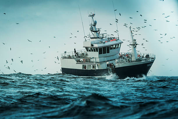 Commercial fishing vessel navigating rough ocean waters while surrounded by flying seabirds. Dramatic maritime scene representing commercial fishing, offshore work, marine industry, and life at sea.