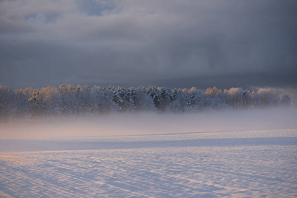 Horizontal winter landscape in Latvia with pale snow textures, low fog layer and distant forest under dark blue and grey clouds, calm minimal rural scene with cold light.