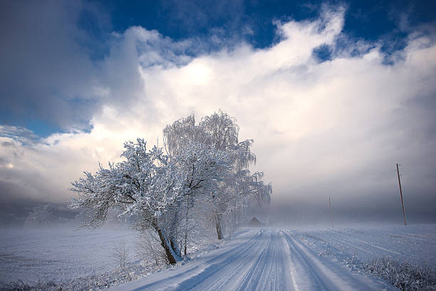 Horizontal winter landscape with a snow covered rural road leading into pale fog, framed by frost covered trees under a blue and white cloudy sky with soft cold light.