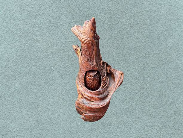 The light green background in the image features a carved, golden-brown aquatic tree root with an owl in the center. The owl has a hole in the middle of the trunk and is used for decorative purposes.