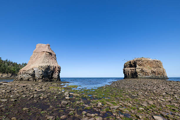 Pokeshaw Provincial Park is located in the Capes region, between Grande-Anse and Bathurst, in the northeastern part of the province of New Brunswick, Canada.