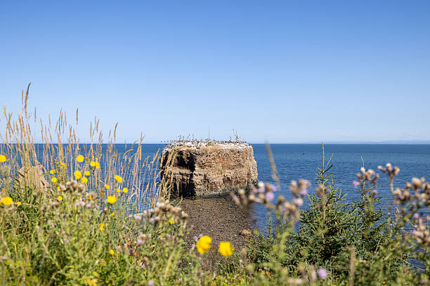 Pokeshaw Provincial Park is located in the Capes region, between Grande-Anse and Bathurst, in the northeastern part of the province of New Brunswick, Canada.