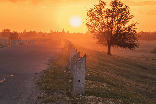 Roadside poles at sunset. Empty road to sunset.