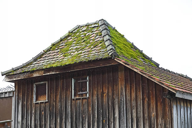 The small wooden bathing hut has a roof covered with ceramic tiles. The tiles are covered in moss. Two small windows are visible. This building was found in Lochau, Austria.