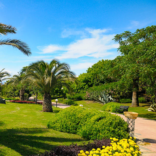 This vibrant landscape features lush palm trees, manicured lawns, and colorful flowers under a bright blue sky. Perfect for travel brochures, relaxation concepts, and real estate marketing.