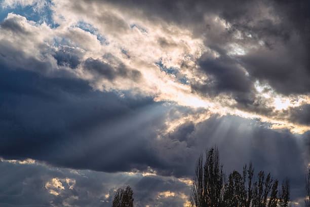 The sky is cloudy and the sun is shining through the clouds. The sun is casting a warm glow on the trees