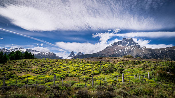 rustic wire fence in a field with wooden poles against the background of green grass.