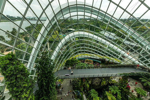 Singapore, Republic of Singapore - December 26, 2024: Cloud Forest conservatory interior with geometric glass dome and a walkway bridge. Gardens by the Bay