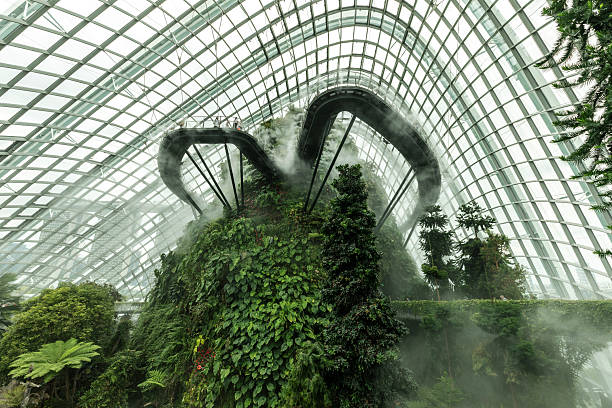 Singapore, Republic of Singapore - December 26, 2024: The Cloud Mountain in Cloud Forest Dome, Gardens by the Bay. Structure entirely clad in epiphytes such as orchids, ferns, and bromeliads