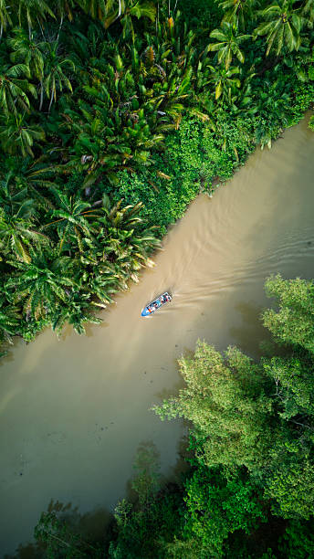 istock Boat in tropical jungle 2256088536