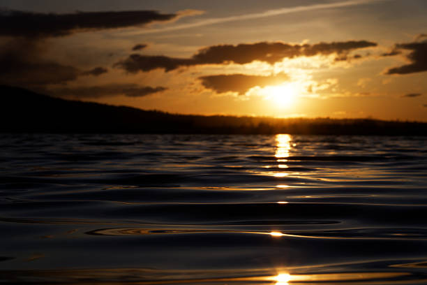 Smooth waves on a lake in rural Alberta reflect the sunset in front of a dark treeline and a sparsely clouded sky.