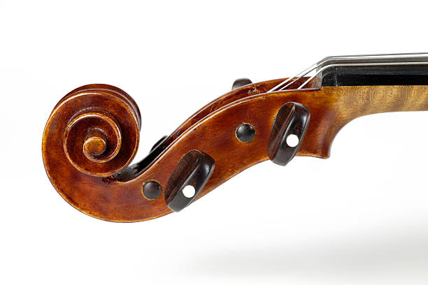Glossy scroll and tuning pegs of precious master violin isolated against white background