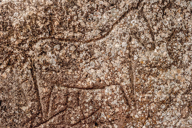 Rock Paintings In Gobustan National Historical Artistic Reserve Azerbaijan