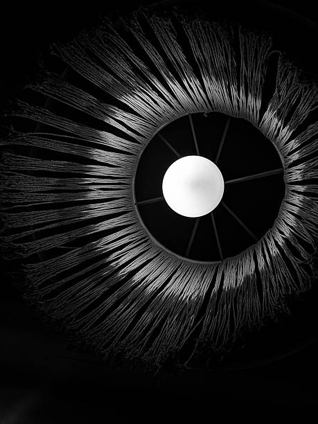 Minimalist monochrome photograph of a glowing light bulb inside a fringe macrame lampshade. The symmetrical composition and contrast between light and shadow create a sophisticated artistic look for interior design concepts.