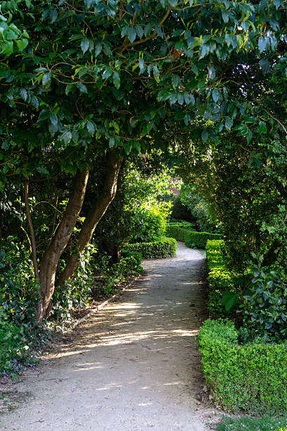 Saffron Walden, Essex, UK - May 04, 2025: A sun-dappled path winds through lush greenery in Bridge End Gardens, Saffron Walden, UK, offering a tranquil escape.