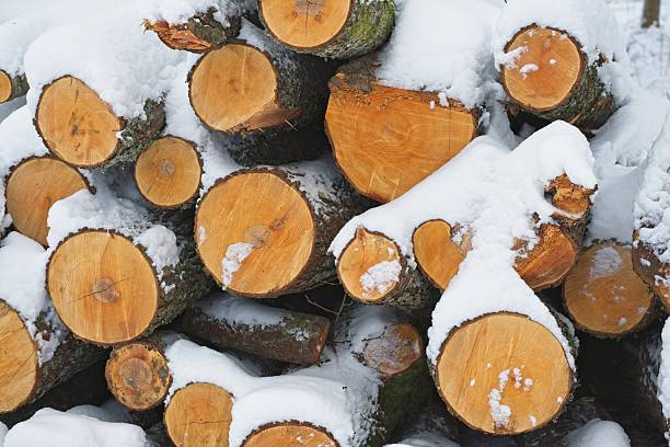 Logs stacked densely with bright orange cuts are covered in a layer of snow, indicating a winter setting. The cut surfaces contrast sharply with the white snow, highlighting the natural rings and textures of the wood. The bark is dark and rough, adding texture to the scene. The snow rests unevenly on top, creating a wintery, serene atmosphere.