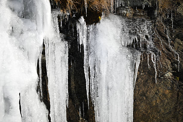 Icicles hanging on a rock in winter