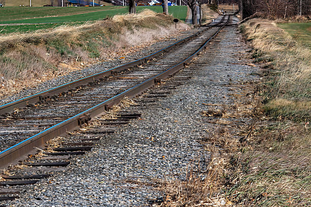 Long train tracks run through a rural area. Grass grows beside the tracks, and a few trees are visible in the background. The scene shows no trains. The day is clear and bright.