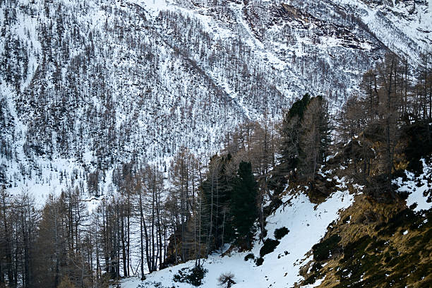Perfect ski slope.  High mountain  landscape  At the top. Italian Alps  ski area. Ski resort Livigno. italy, Europe.