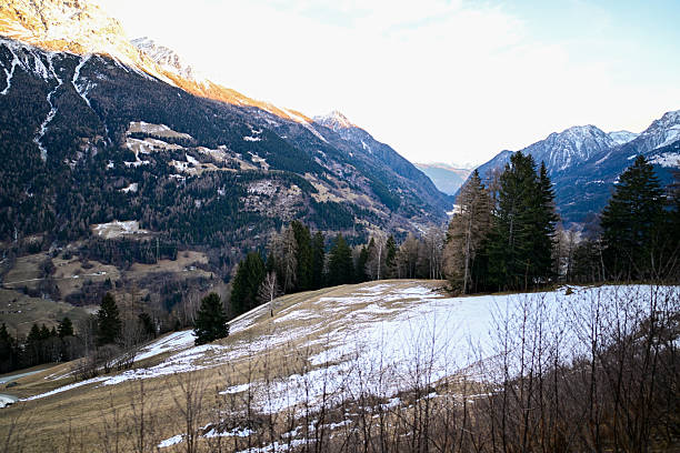 Snowy mountain valley with evergreen trees and sunlit peaks