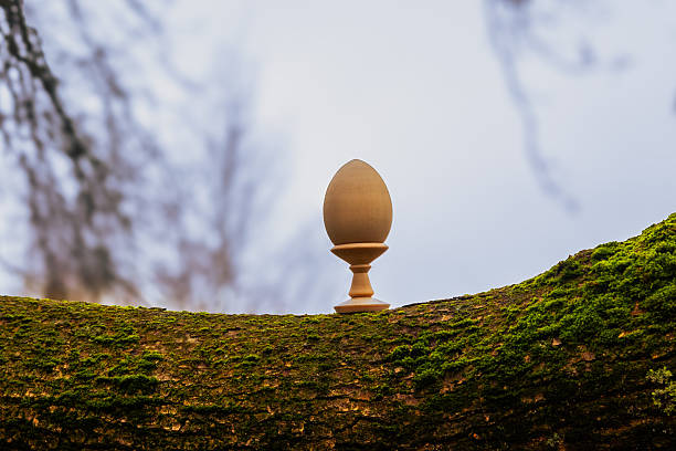 Wooden egg sits on small pedestal placed on moss-covered tree trunk. Blurred branches are visible in distance