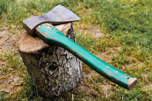 An axe rests on freshly chopped firewood outdoors.