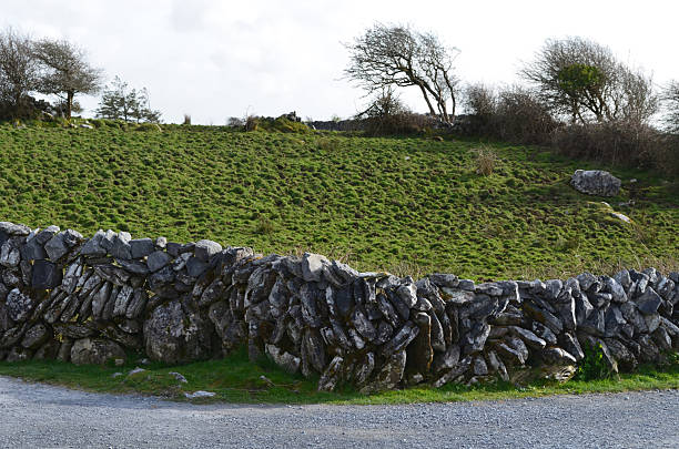 A stone wall with a grass field in Ireland.