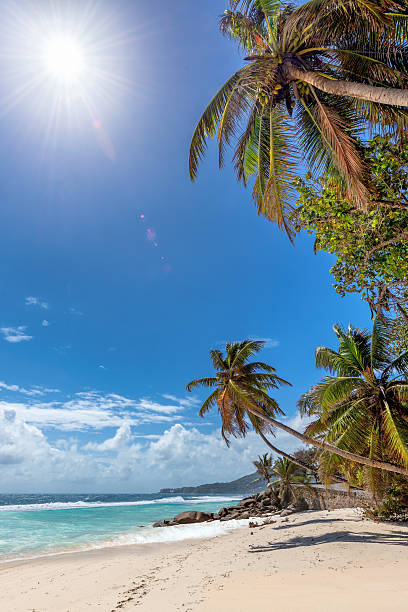 istock Paradise Sunny beach with palms and turquoise sea. 2256133575