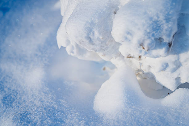 Macro view of powder snow surface and rounded snow chunks with small dirt specks, bright natural light creating clean abstract background texture