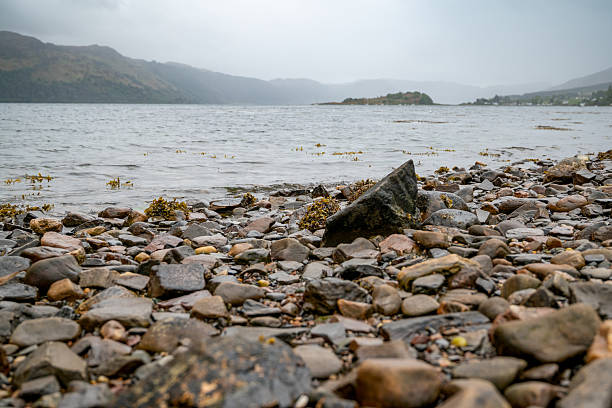 A dramatic ground-level perspective of a rocky beach with kelp and seaweed, looking out over a misty Scottish loch.