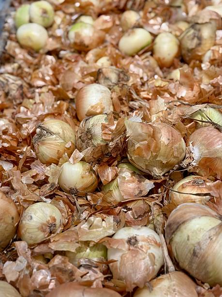 Dry Onion Membranes On Rustic Surface, Layered Onion Skins With Curled Edges In Earthy Tones, Closeup Of Dried Onion Layers Spread Over Aged Wooden Background Conveying Harvest Theme