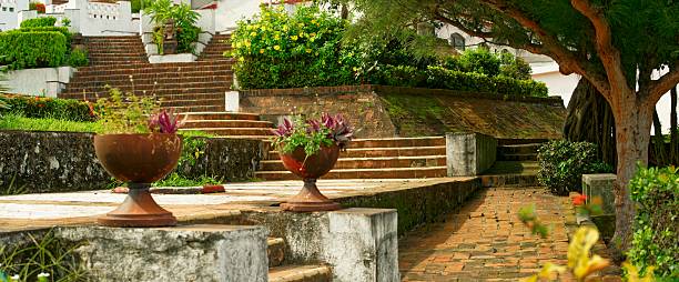 Veracruz State, Mexico - November 26, 2025: - Weathered Brick Staircase With Potted Plants And Large Tree
