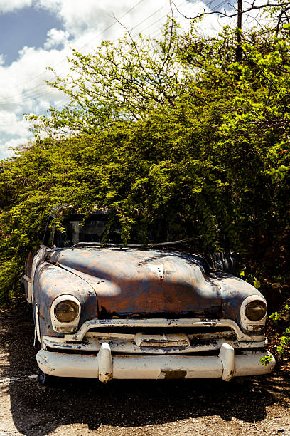 Old, rusted car becoming one with nature under a bright caribbean sky