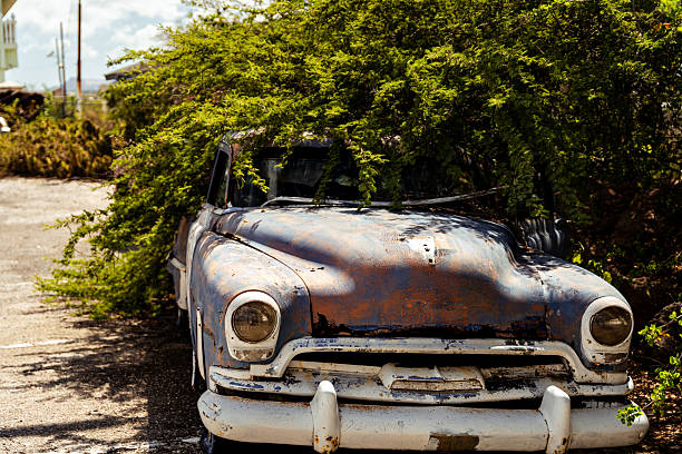 Rusty vintage car abandoned under a lush green tree in a tropical setting