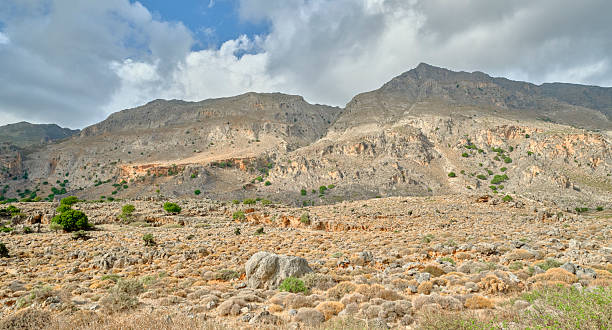 A vast Crete landscape in Greece showing rugged mountains, rocky plains and sparse vegetation. The arid terrain features scattered shrubs and a few lone trees, with a dramatic sky overhead, capturing the timeless, remote beauty of Mediterranean geology and nature.