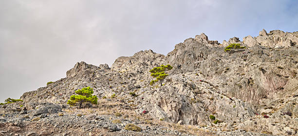 Crete, Greece features a rugged rocky hillside with scattered pine trees, presenting a barren Mediterranean landscape under a cloudy sky. The scene conveys solitude, resilience, and natural beauty, suitable for travel, nature, and adventure themes, highlighting harsh terrain and the quiet drama of wind-swept rock and sparse greenery.