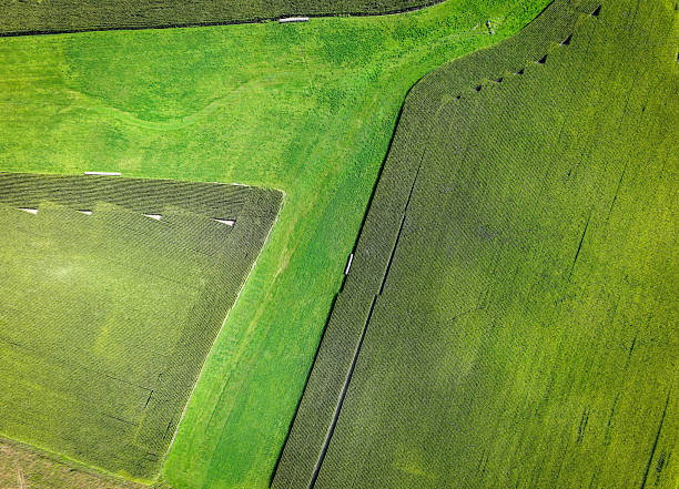 A high-altitude, top-down perspective of lush agricultural fields in rural Missouri. The image features a striking contrast between different types of crops and textures, showing clean lines, geometric patterns, and various shades of green. A minimalist and abstract look at modern farming and land use.