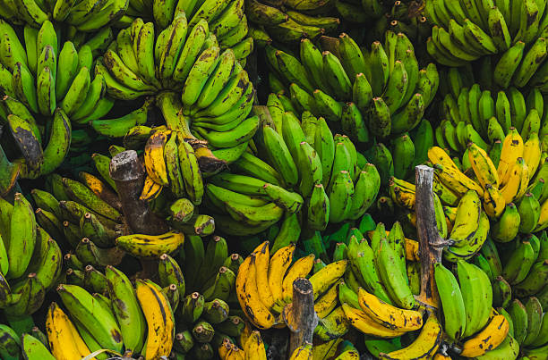 Overhead View of Piled Green and Yellow Bananas for Sale