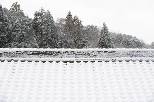 Snow piled up on the tiled roof of an old Japanese house