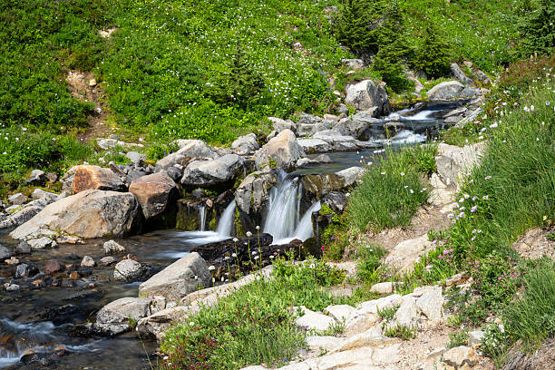 Upstream of Myrtle Falls, Skyline Trail at Paradise, Mt Rainier National Park, Washington, USA