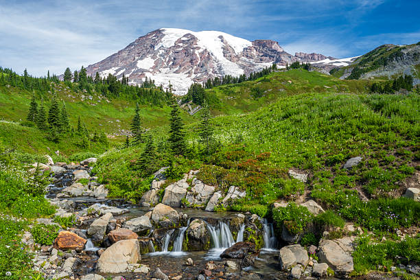 Upstream of Myrtle Falls, Skyline Trail at Paradise, Mt Rainier National Park, Washington, USA