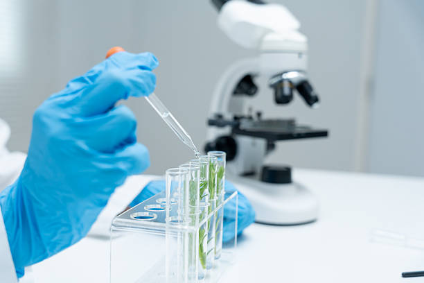 istock Environmental science, scientists examining plant genetics in test tubes, laboratory testing, laboratory experiments on green plants, testing for chemical residues, food safety. 2256172732