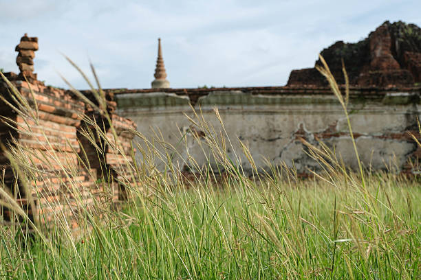 Grass with a backdrop of ancient walls and pagodas.