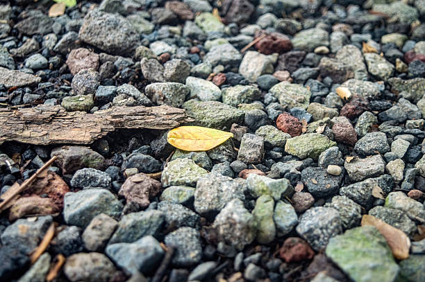 Yellow leaf on textured stone and bark surface, surrounded by earthy tones, moss, and natural light.
