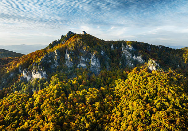Panorama of forest with nice mountain from drone. Slovakia Landscape