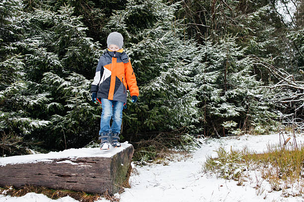 Young child balancing on a snow-covered log among pine trees in a cold winter landscape