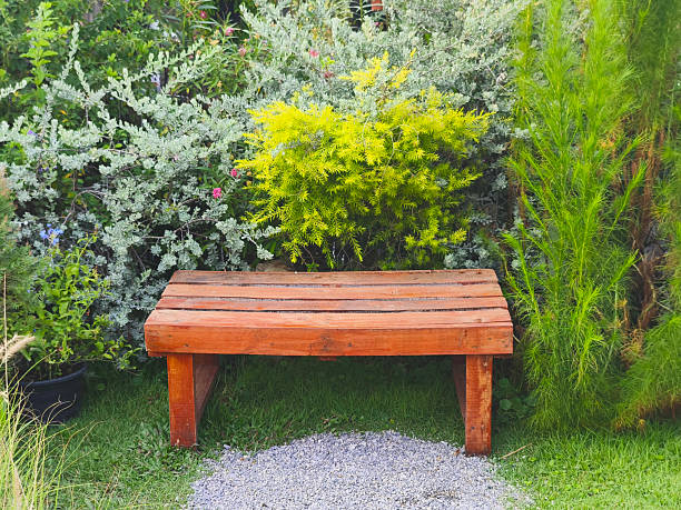 Vintage wooden bench at summer garden. Tropical gardening decoration.