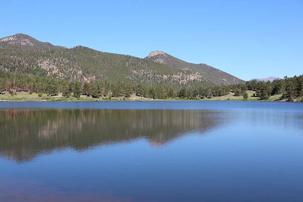 Large lily pad pond with burned forest in foreground in northern Colorado, USA.